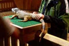 Sept-22-2018-Ark-Encounter-part1-15 Sept-22-2018-Ark-Encounter-part1-15