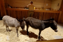 Sept-22-2018-Ark-Encounter-part1-16 Sept-22-2018-Ark-Encounter-part1-16
