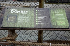 Sept-22-2018-Ark-Encounter-part1-30