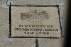 Aug-27-2017-MJ-birthday-celebration-Gary-IN-21