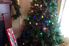 A-Christmas-Story-House-Dec-2-2018-9