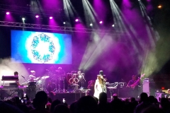 Apr-8-2017-Erykah-badu-Common-Bilal-14
