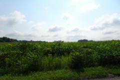 Aug-10-2018-to-Warsaw-indiana-2