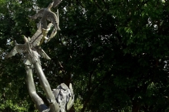 Aug-17-2018-Kelly-Ingram-Park-11