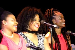 Dec-2-2017-Norman-Brown-joyous-christmas-8