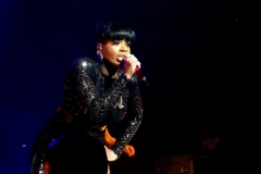 Nov-7-2019-Fantasia-20