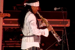 July-4-2009-Marion-Meadows-Paul-Taylor-Michael-Lington-17