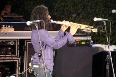 July-4-2009-Marion-Meadows-Paul-Taylor-Michael-Lington-21