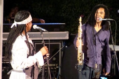 July-4-2009-Marion-Meadows-Paul-Taylor-Michael-Lington-24